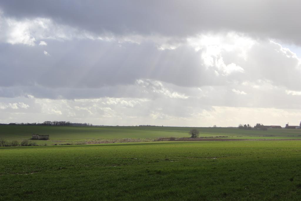 Gites A L'Ombre Des Chenes Châteauvieux Buitenkant foto