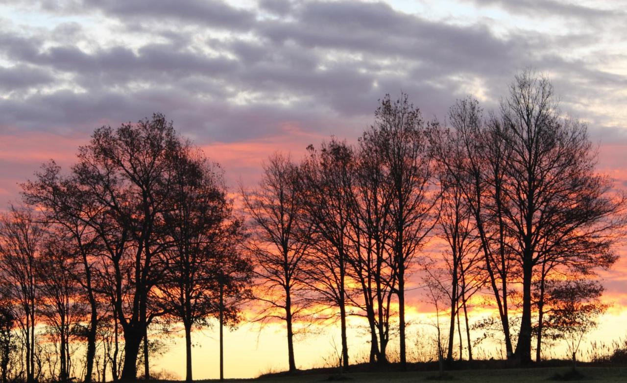 Gites A L'Ombre Des Chenes Châteauvieux Buitenkant foto